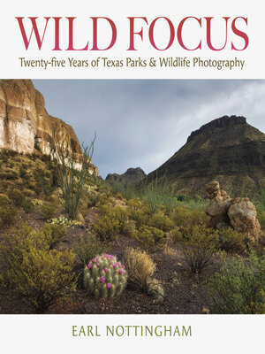 cover image of Wild Focus